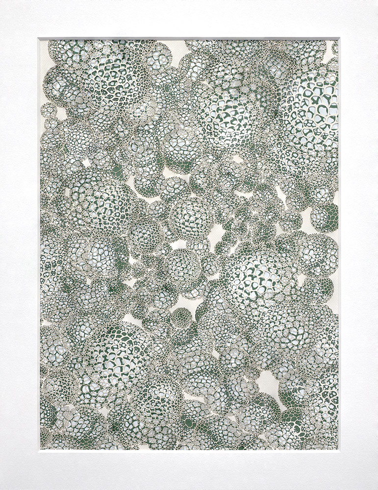 Fernando García Correa