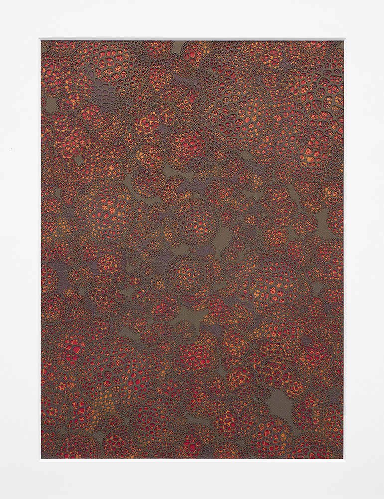 Fernando García Correa